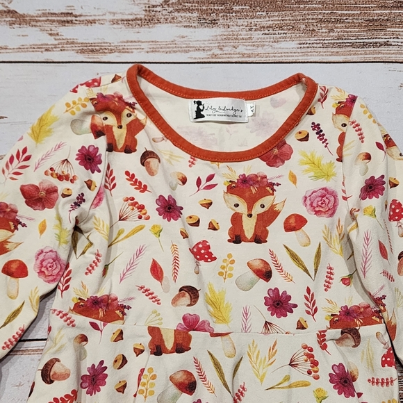 🌺3/$20 Lily & Londyn's dress chipmunk nuts flowers cream orange fall 4T - Picture 3 of 6